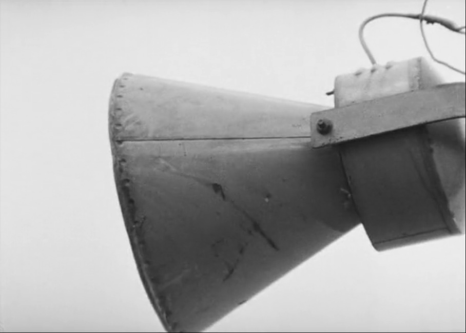 网中的太阳剧照的剧照