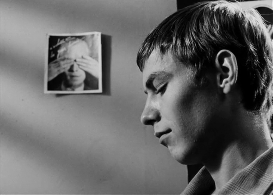 网中的太阳剧照的剧照