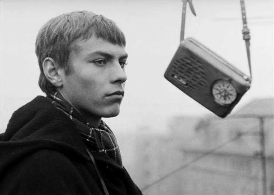 网中的太阳剧照的剧照