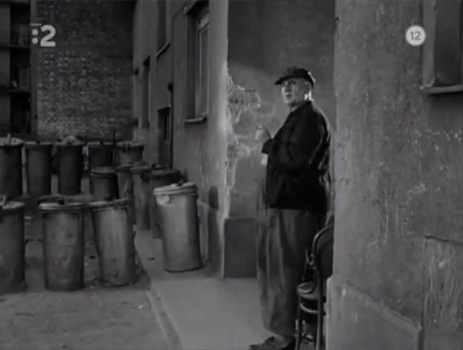 网中的太阳剧照的剧照