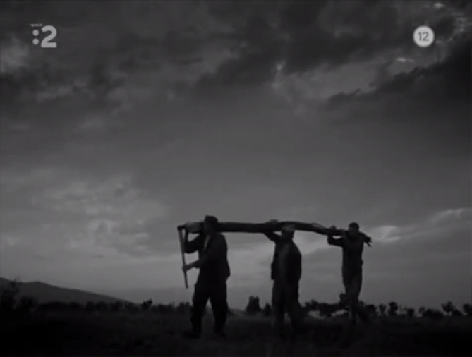 网中的太阳剧照的剧照