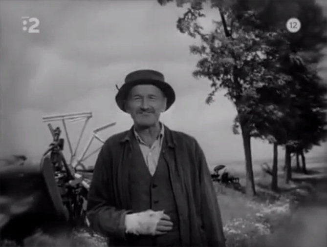 网中的太阳剧照的剧照