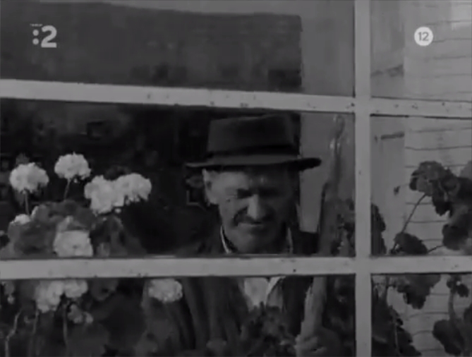 网中的太阳剧照的剧照