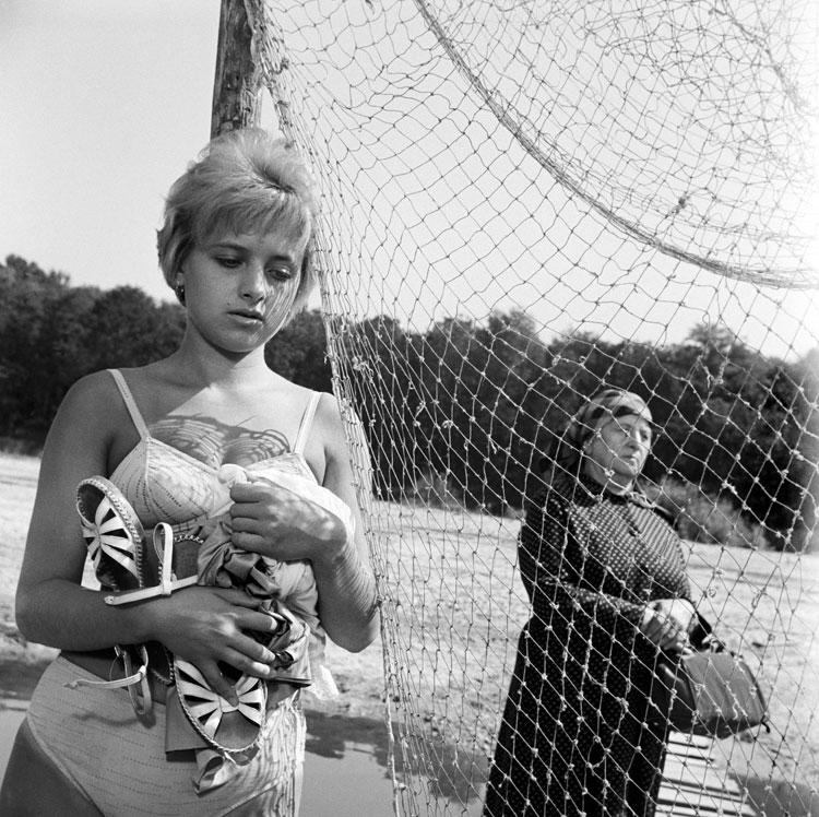 网中的太阳剧照的剧照