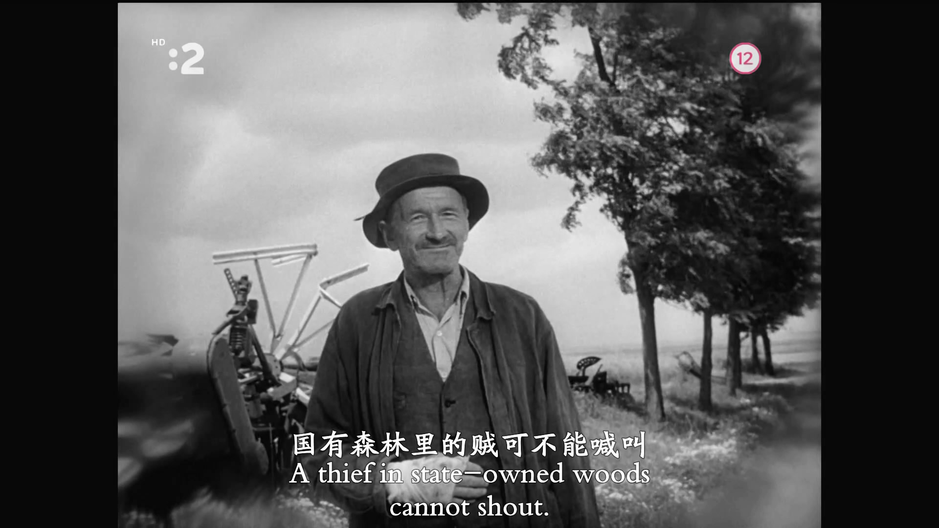 网中的太阳剧照的剧照