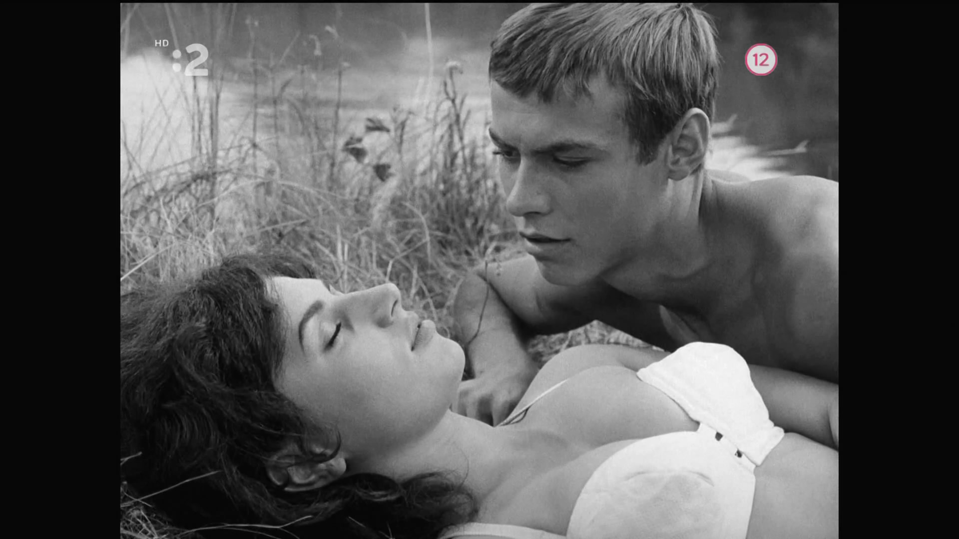 网中的太阳剧照的剧照