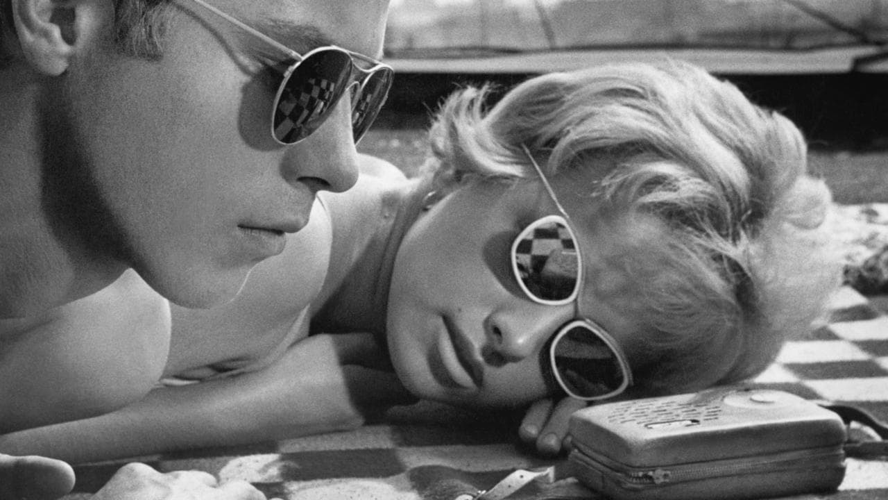 网中的太阳剧照的剧照