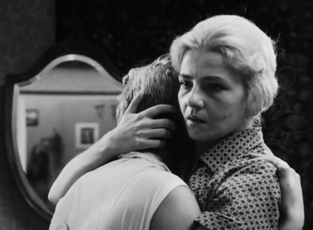 网中的太阳剧照的剧照