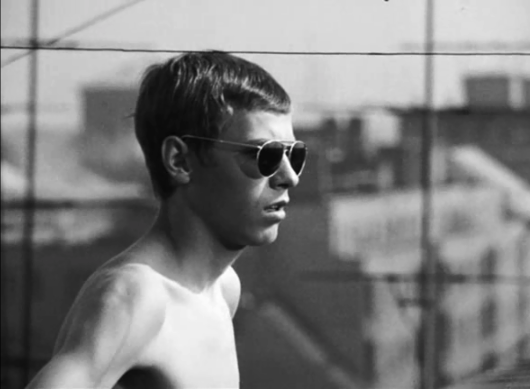 网中的太阳剧照的剧照