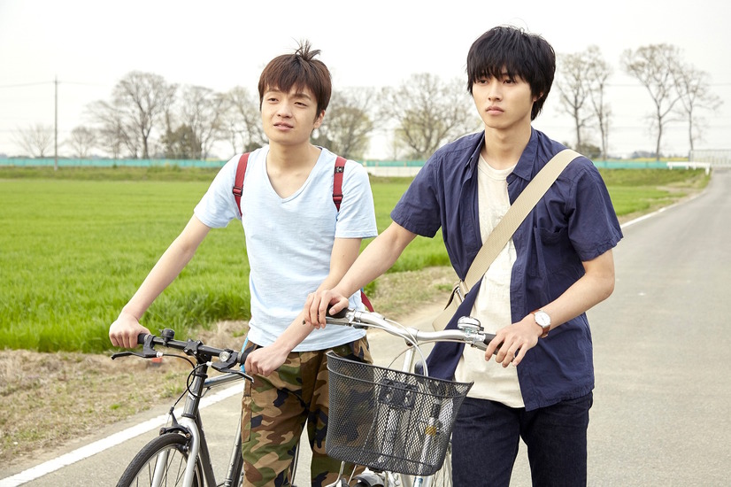 冰果 真人版剧照的剧照