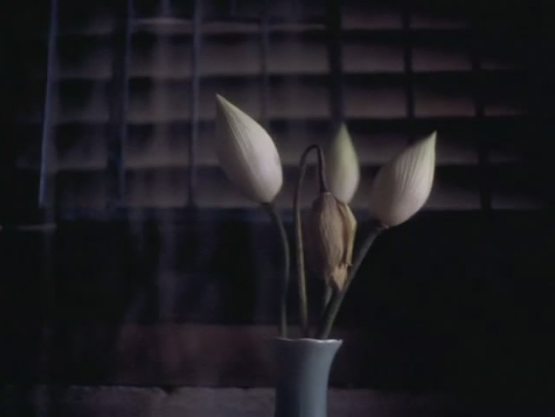 恋恋三季剧照的剧照