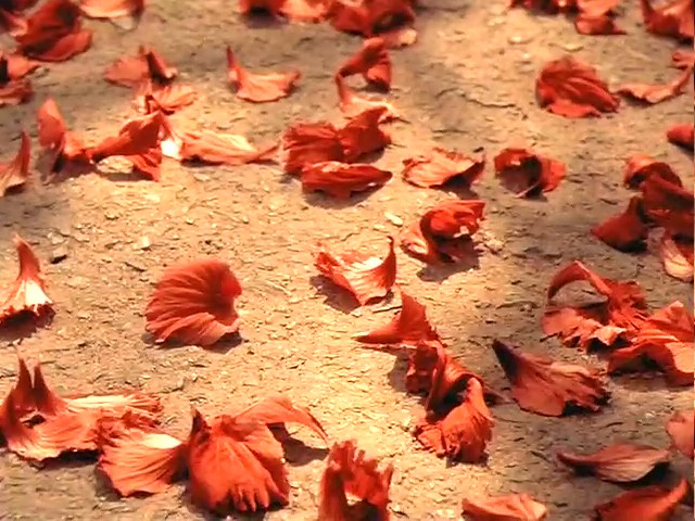 恋恋三季剧照的剧照