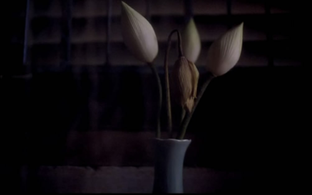 恋恋三季剧照的剧照