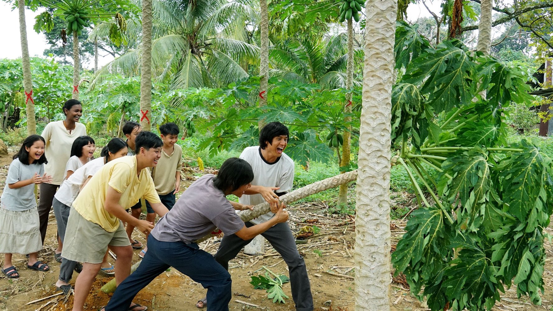 我们的故事2剧照的剧照