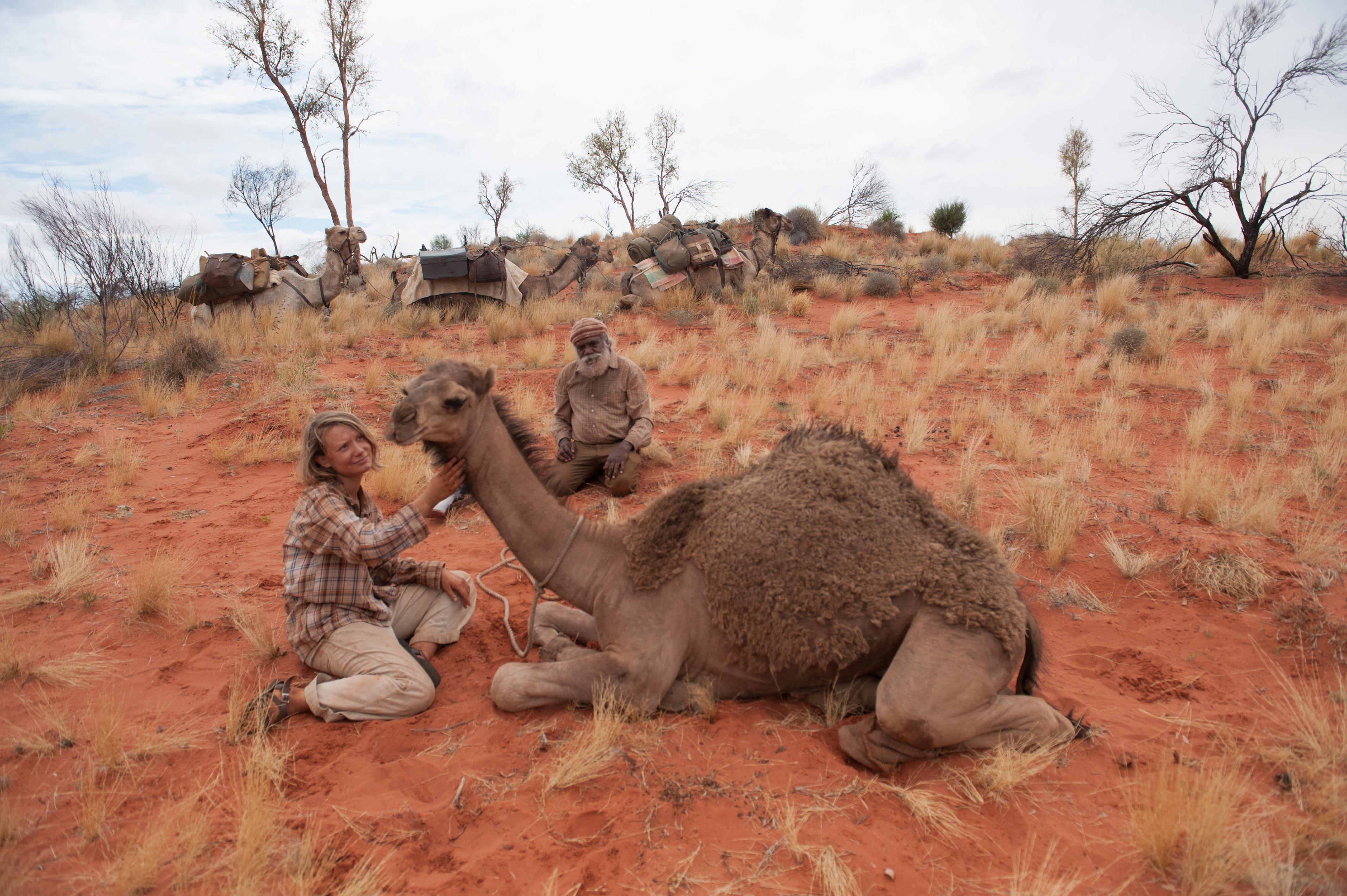 沙漠驼影剧照的剧照