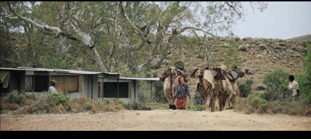 沙漠驼影剧照的剧照