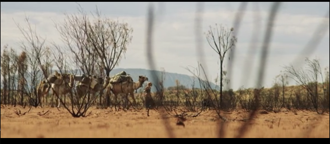 沙漠驼影剧照的剧照