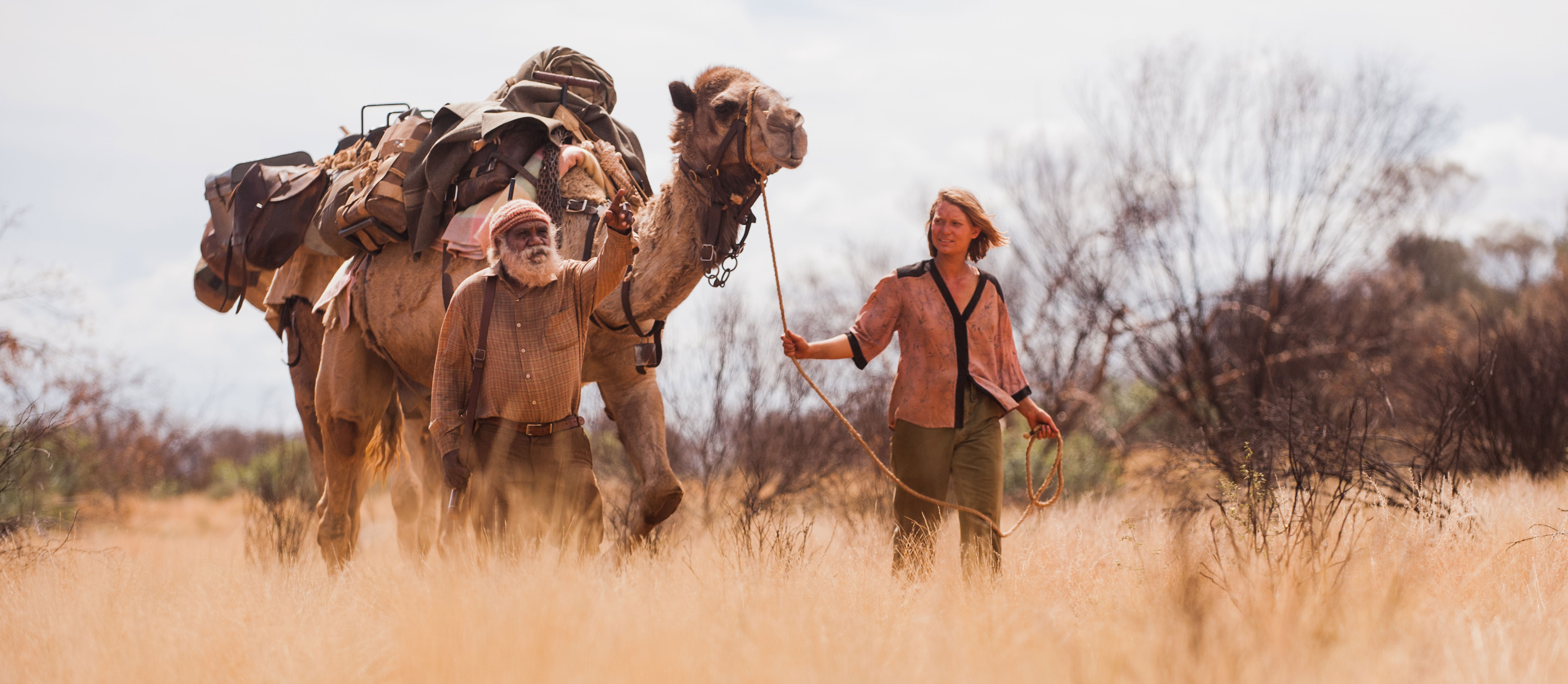 沙漠驼影剧照的剧照