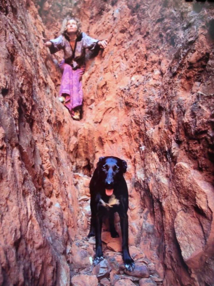 沙漠驼影剧照的剧照