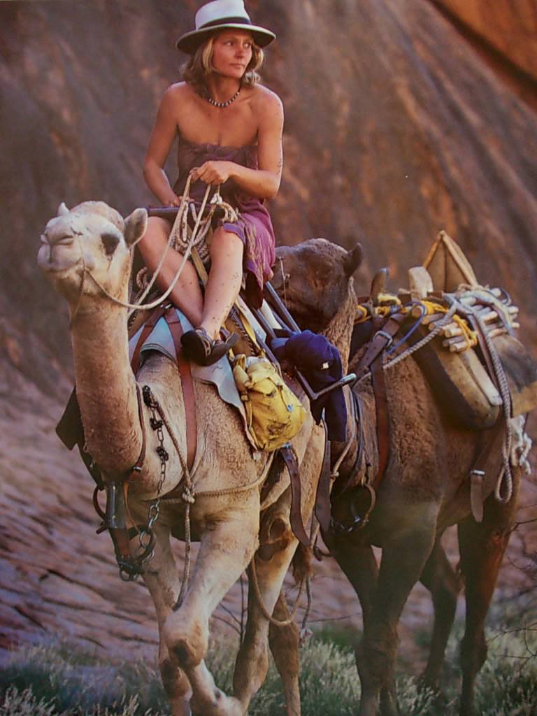 沙漠驼影剧照的剧照