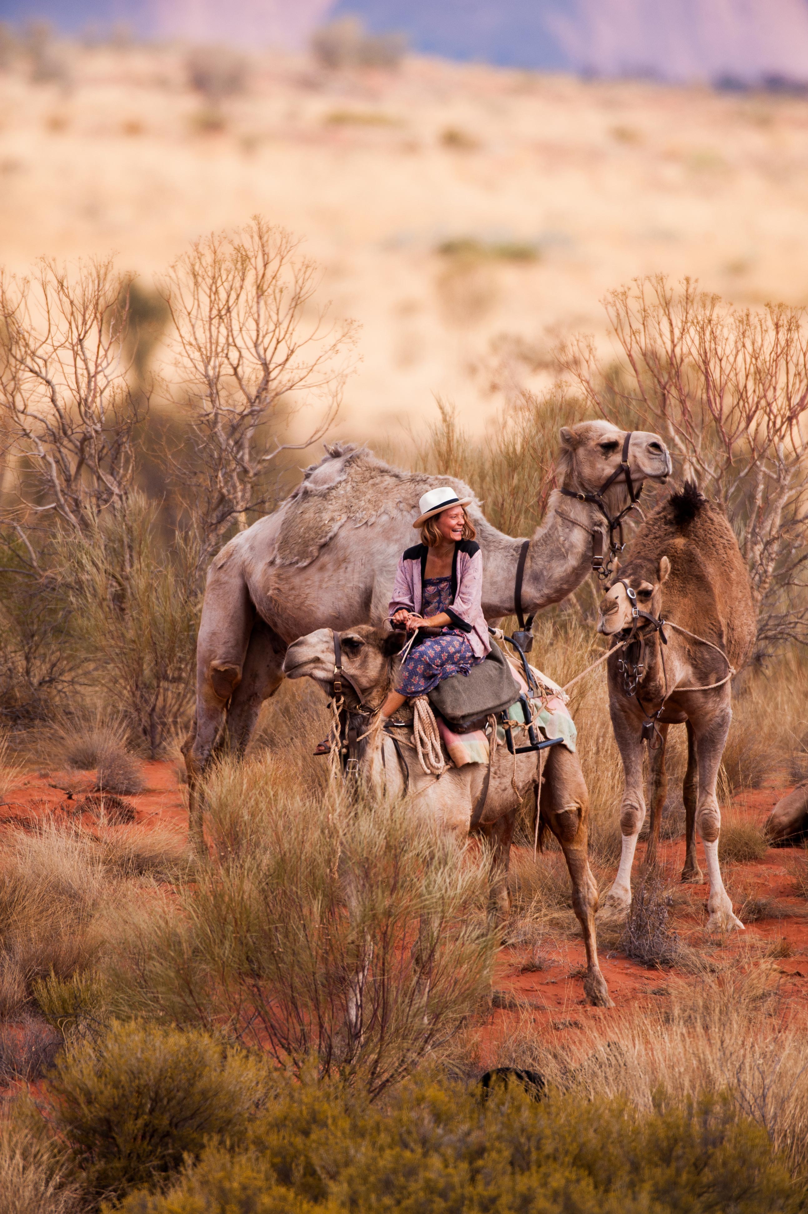 沙漠驼影剧照的剧照
