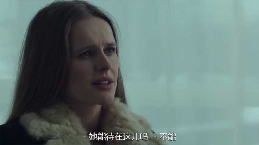 冰岛誓言剧照的剧照