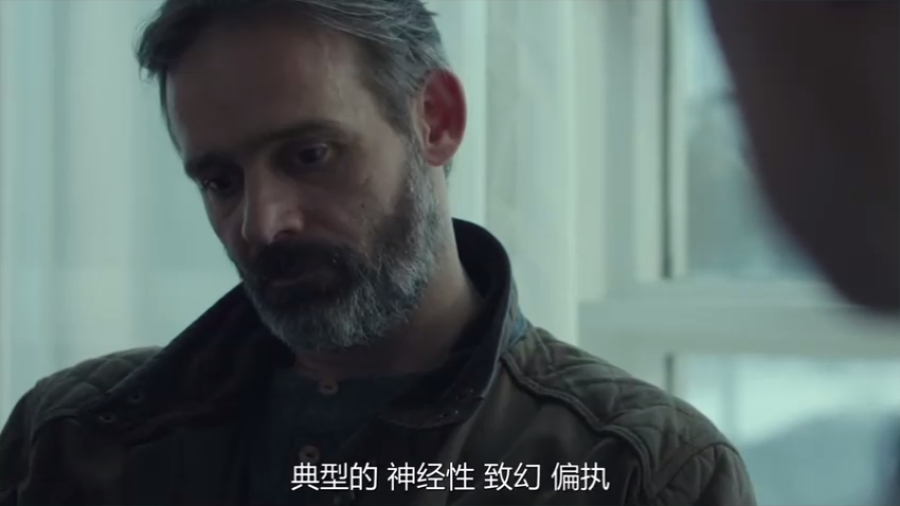 冰岛誓言剧照的剧照