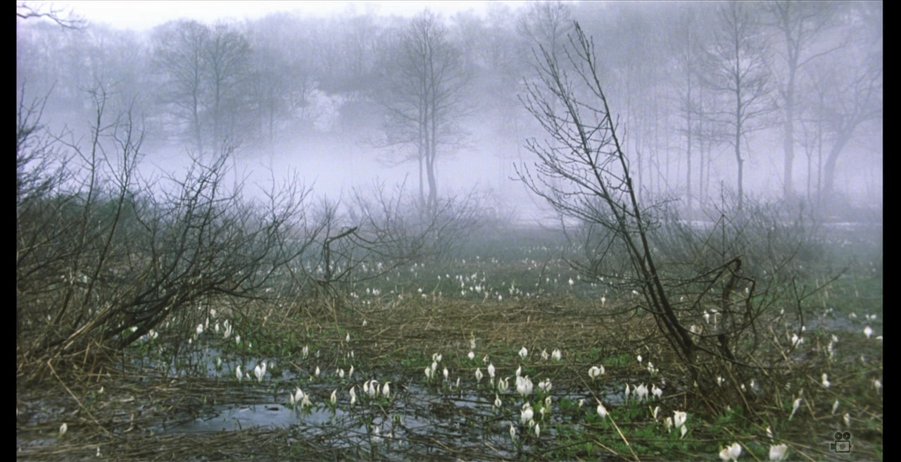 阿弥陀堂讯息剧照的剧照