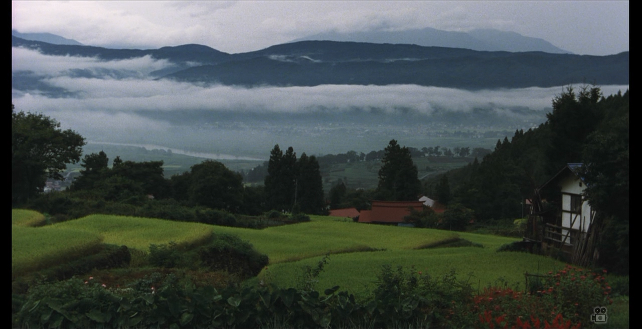 阿弥陀堂讯息剧照的剧照