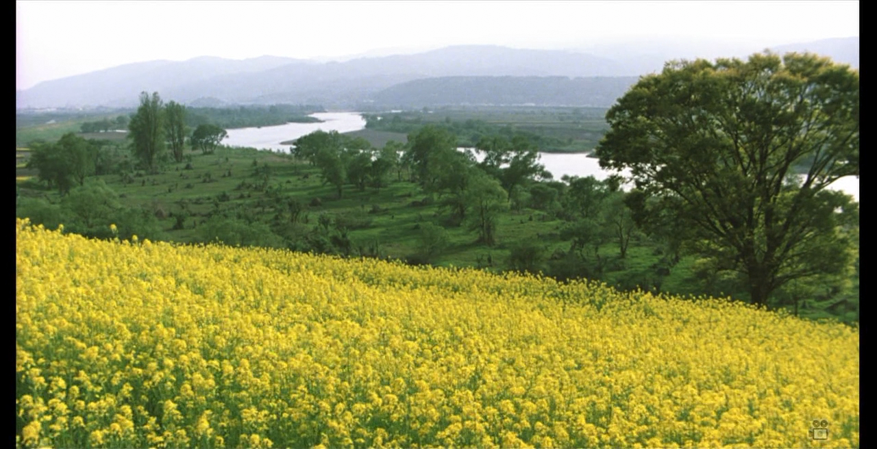 阿弥陀堂讯息剧照的剧照