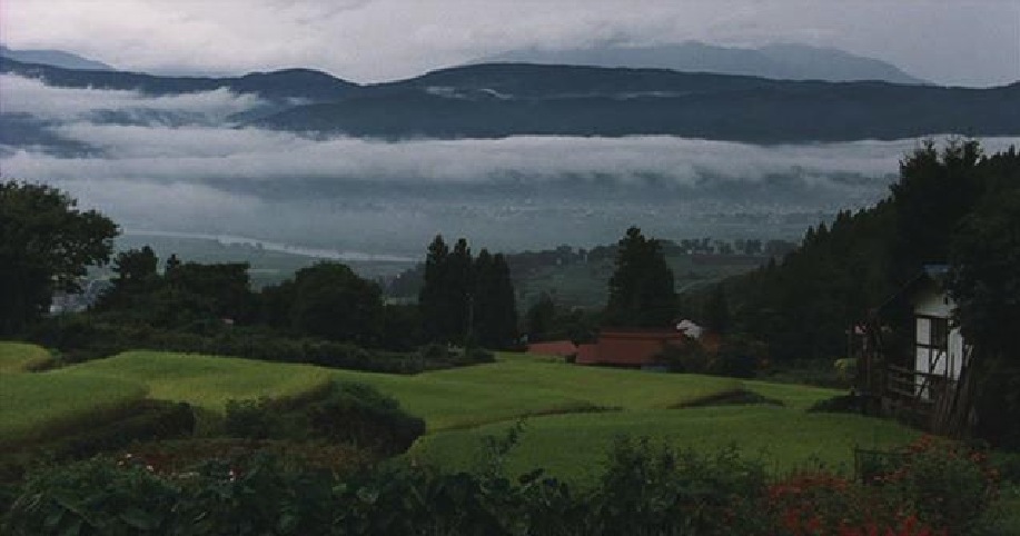 阿弥陀堂讯息剧照的剧照