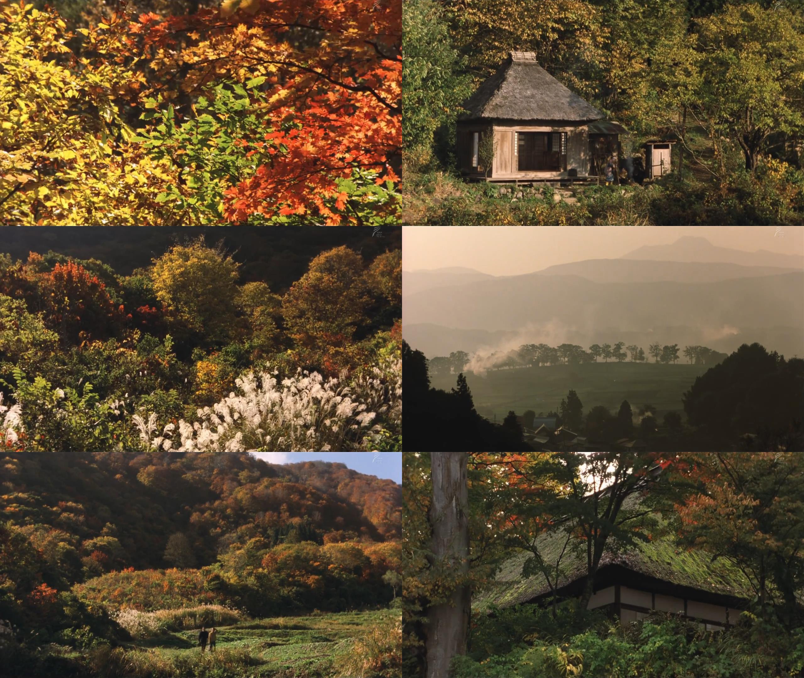 阿弥陀堂讯息剧照的剧照