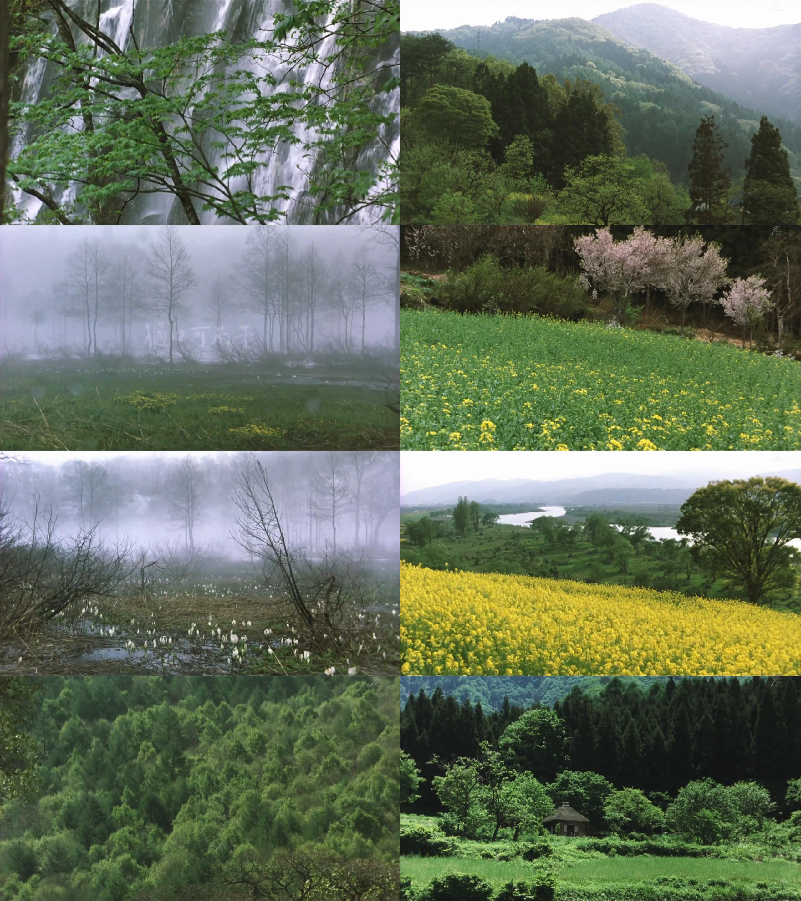 阿弥陀堂讯息剧照的剧照