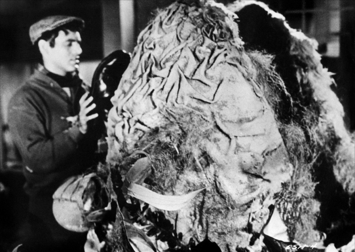 恐怖小店剧照的剧照