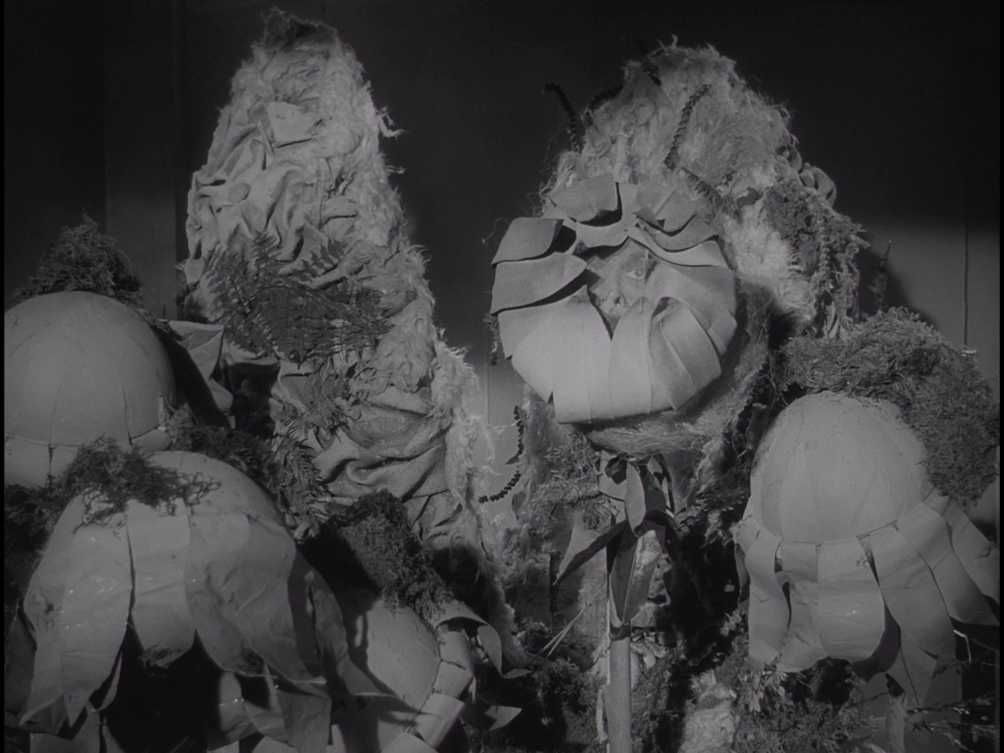 恐怖小店剧照的剧照