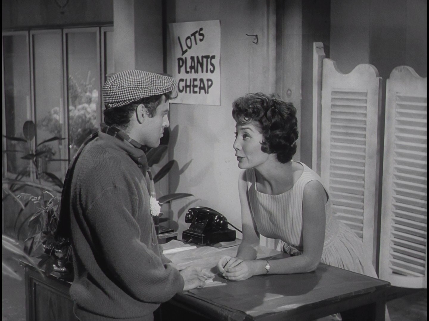 恐怖小店剧照的剧照