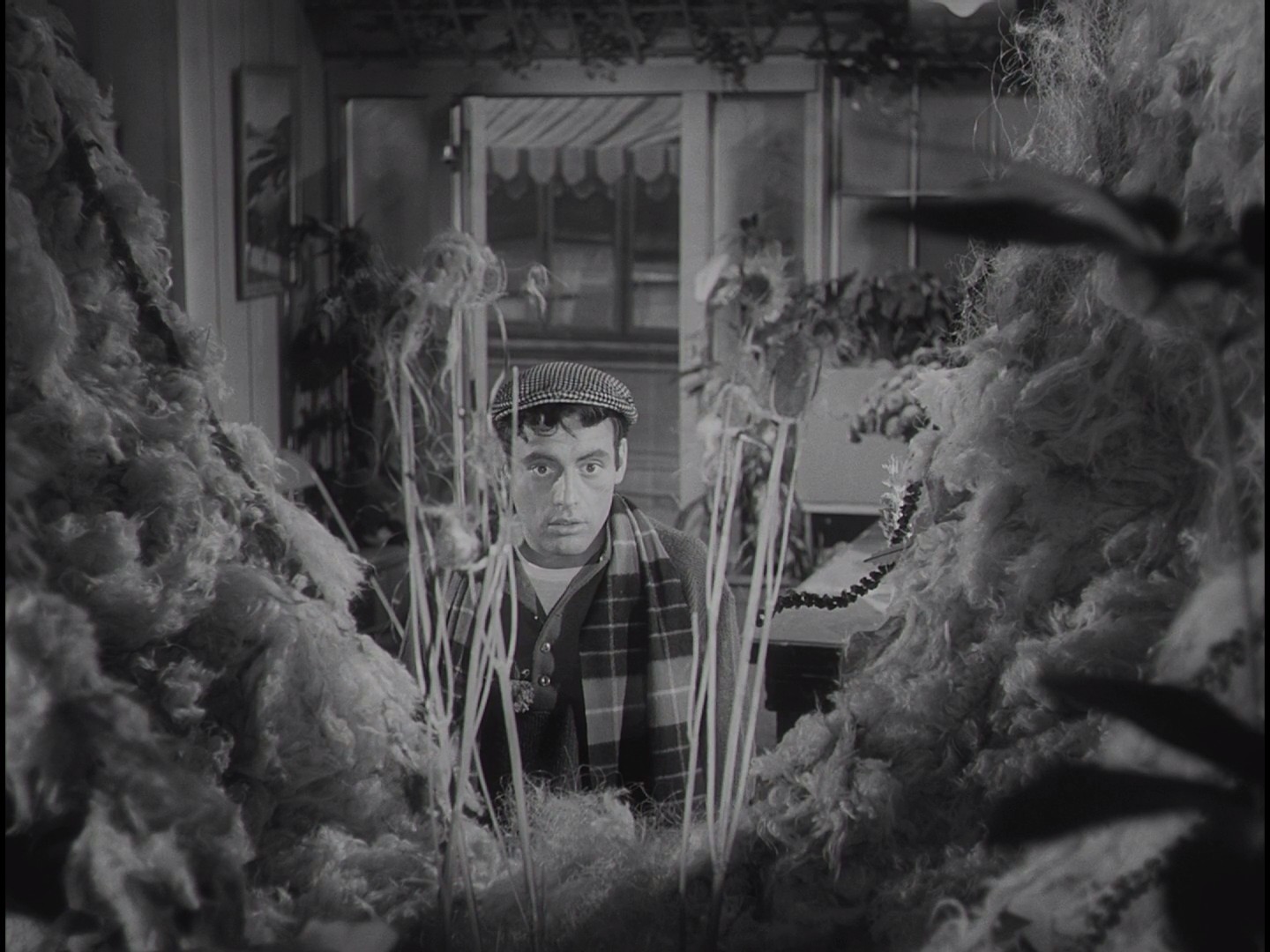 恐怖小店剧照的剧照