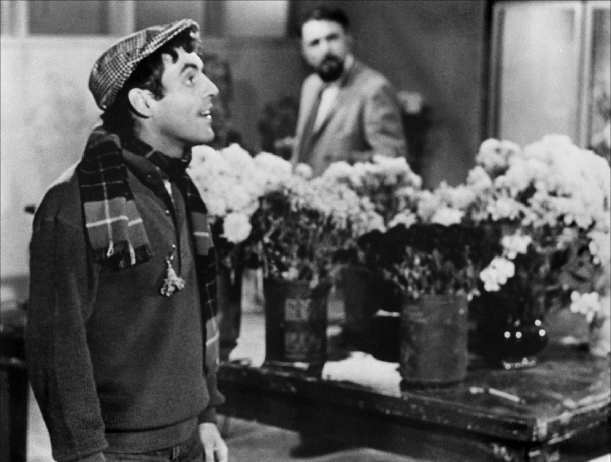 恐怖小店剧照的剧照