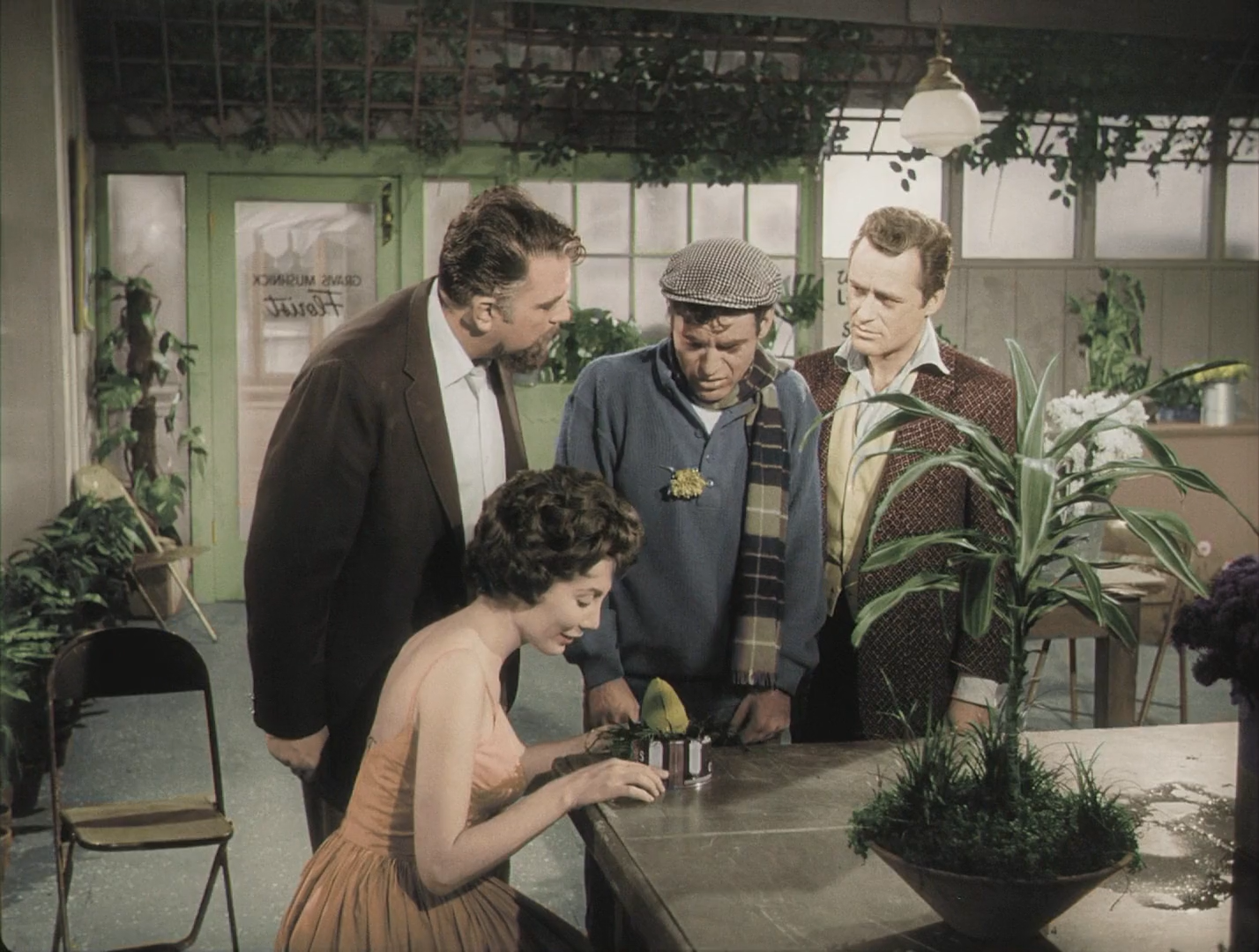 恐怖小店剧照的剧照