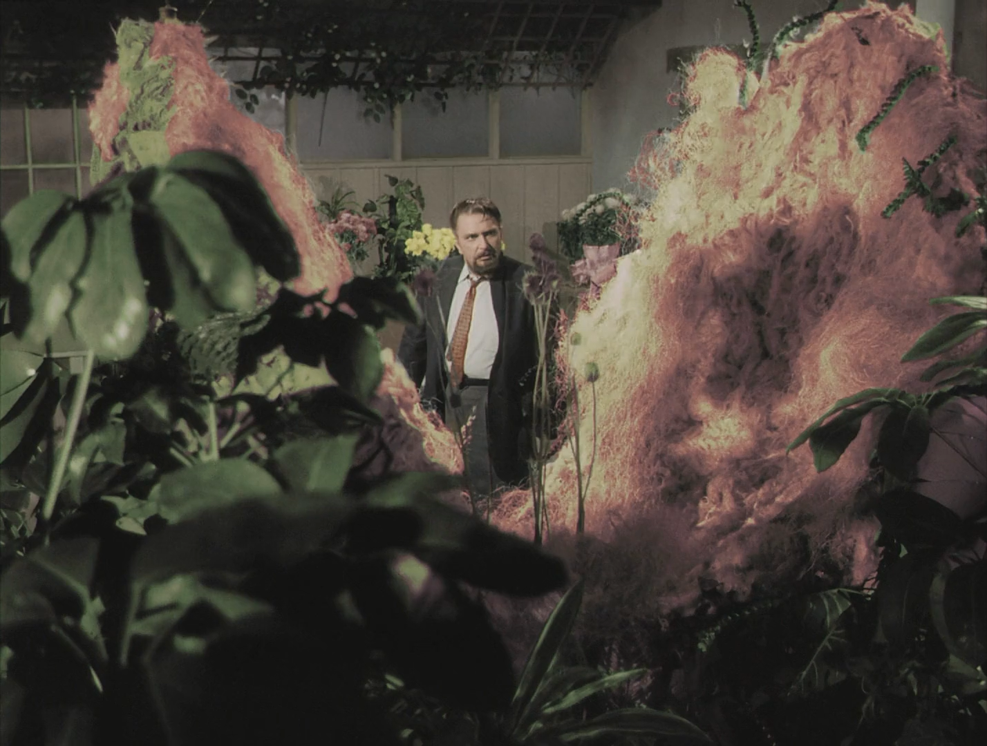 恐怖小店剧照的剧照