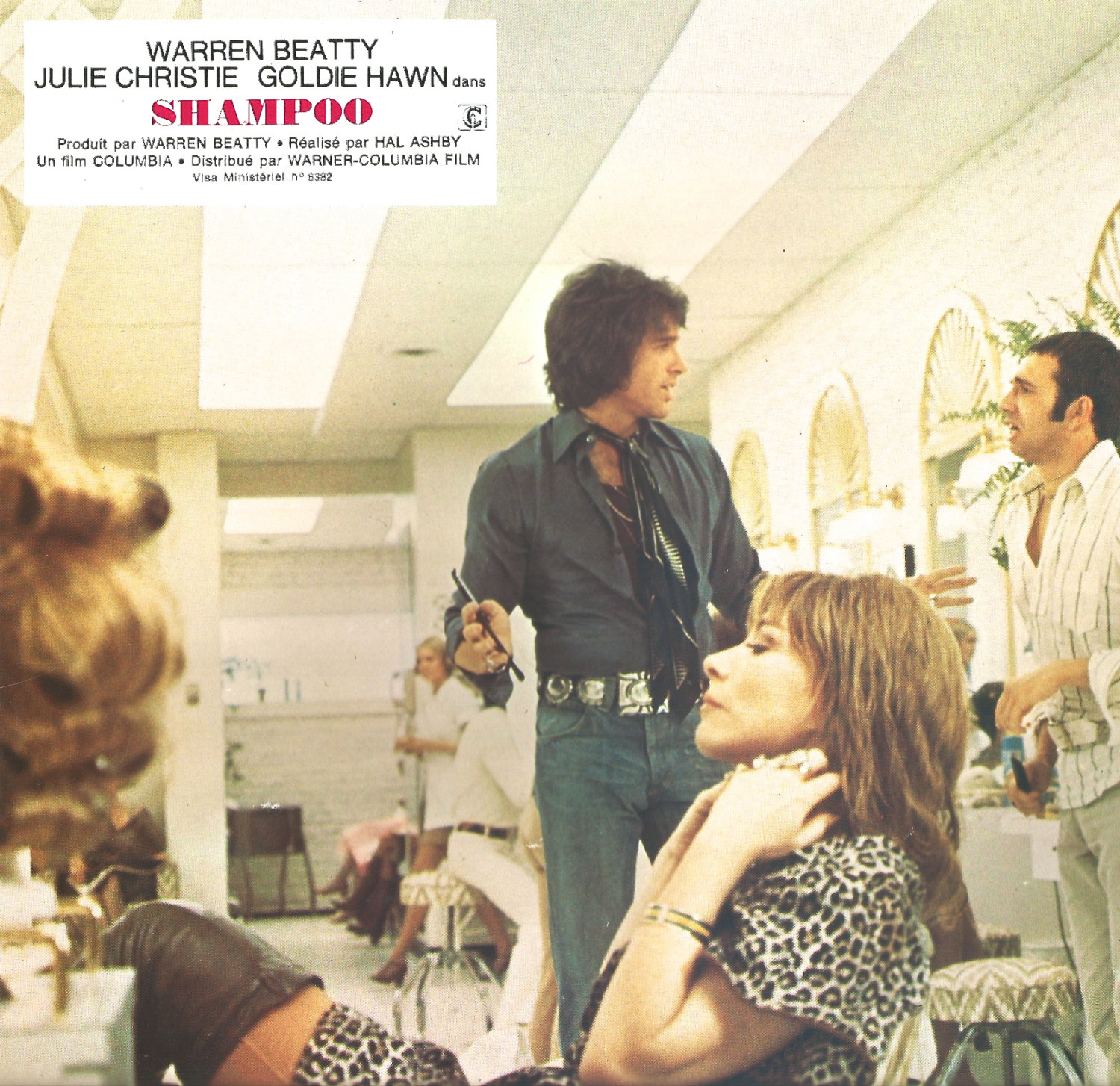 洗发水剧照的剧照