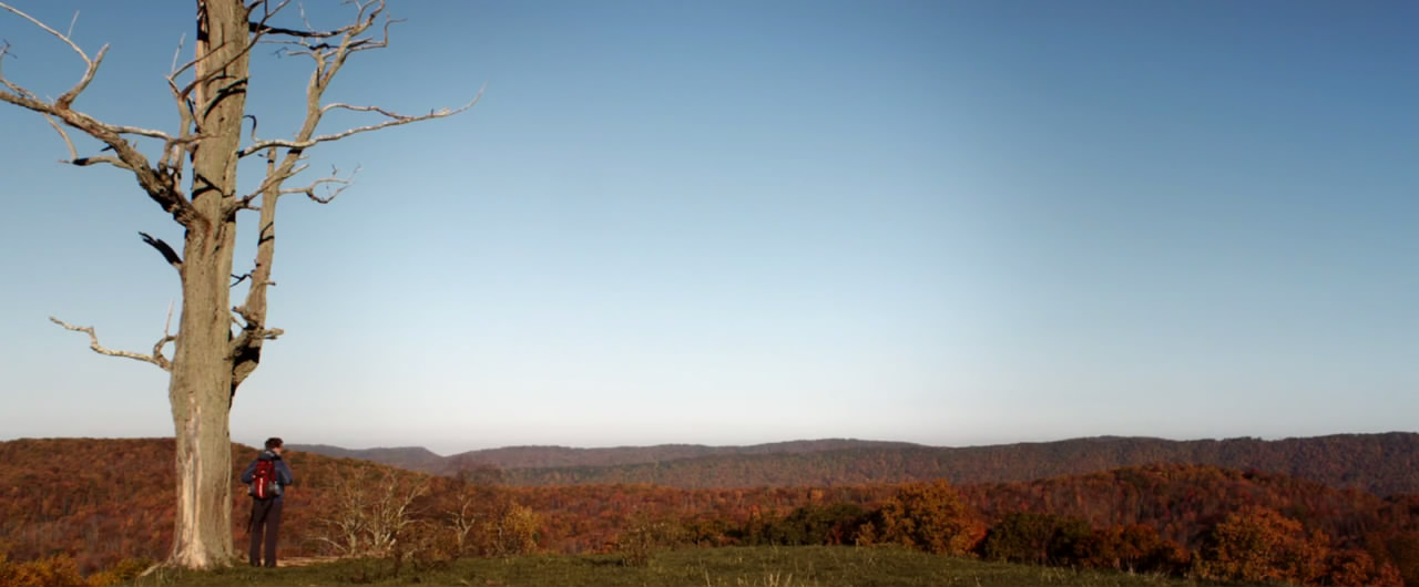 秋天之前剧照的剧照