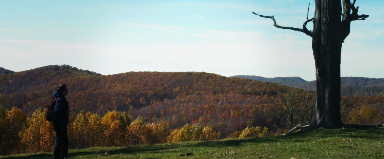 秋天之前剧照的剧照
