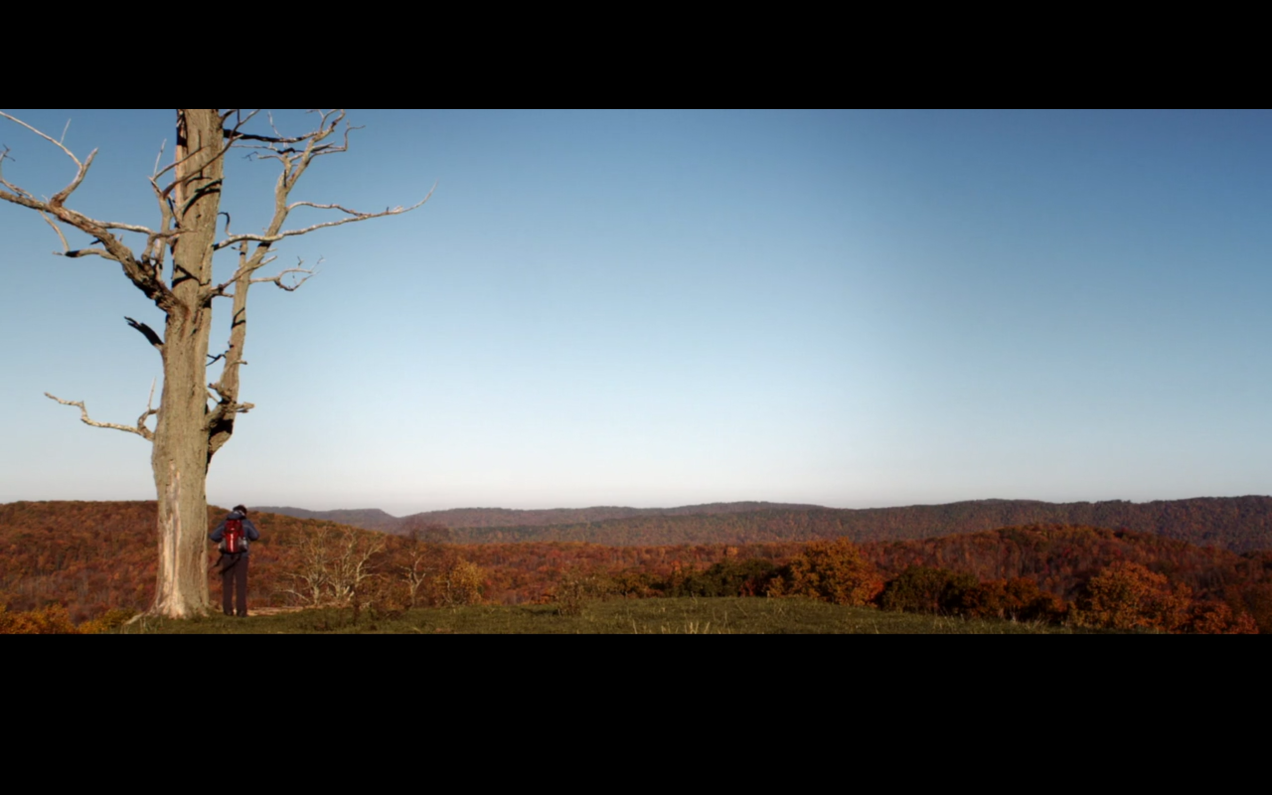 秋天之前剧照的剧照