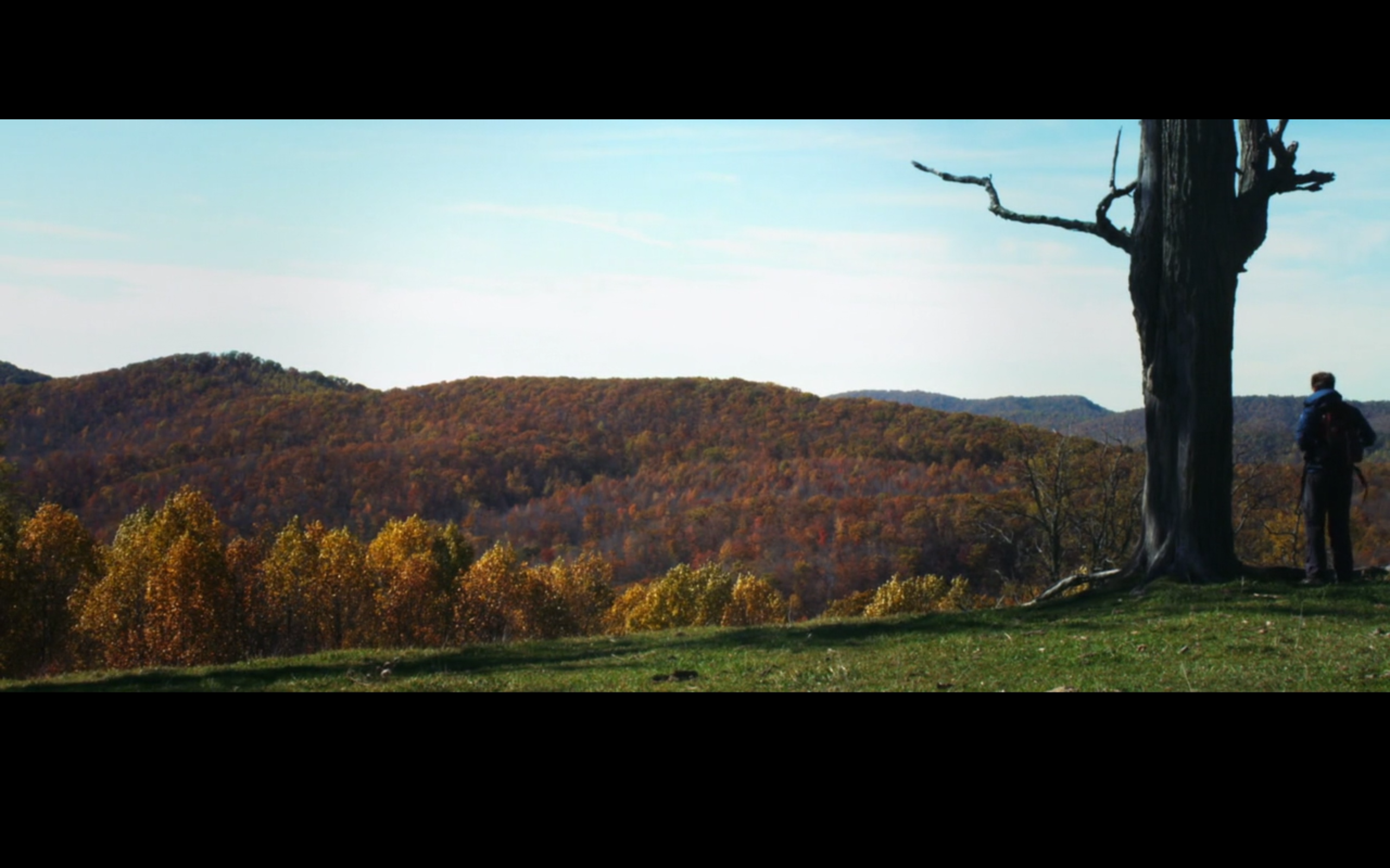 秋天之前剧照的剧照