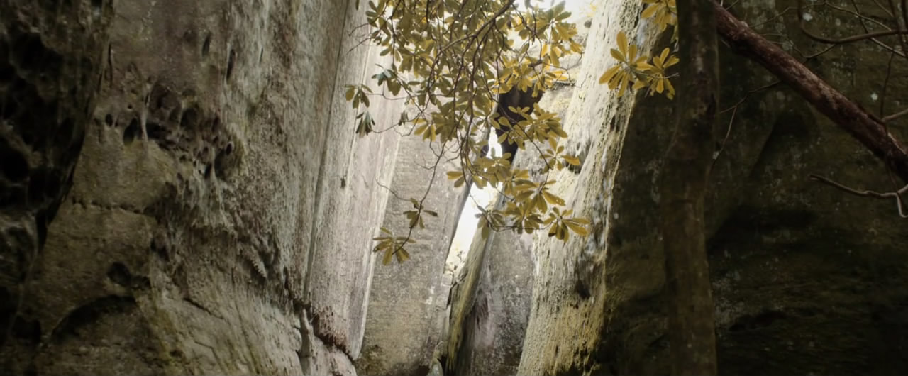 秋天之前剧照的剧照