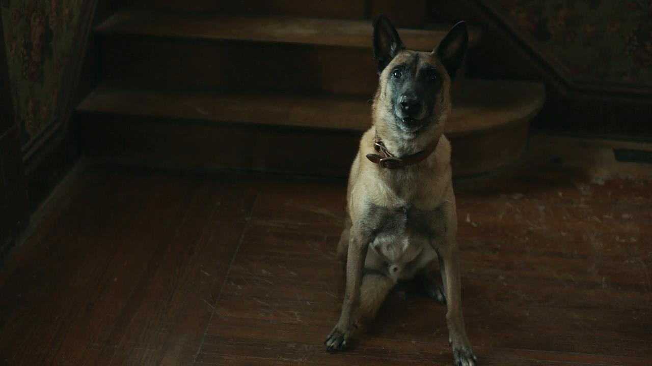 三层楼的女孩剧照的剧照