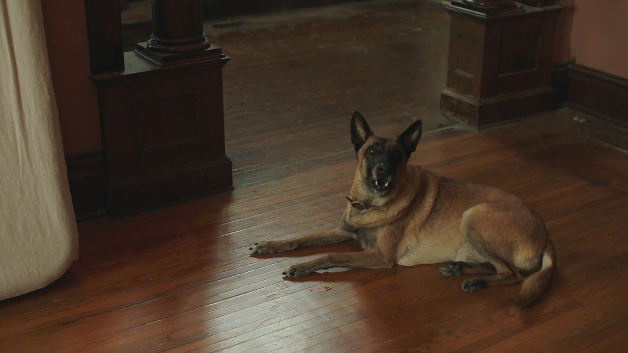 三层楼的女孩剧照的剧照