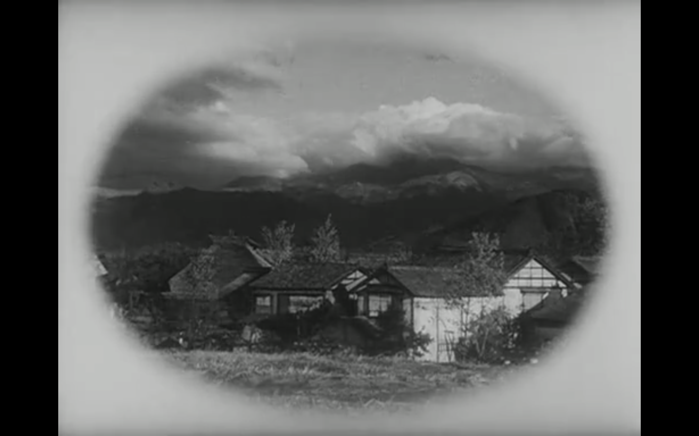 野菊之墓剧照的剧照