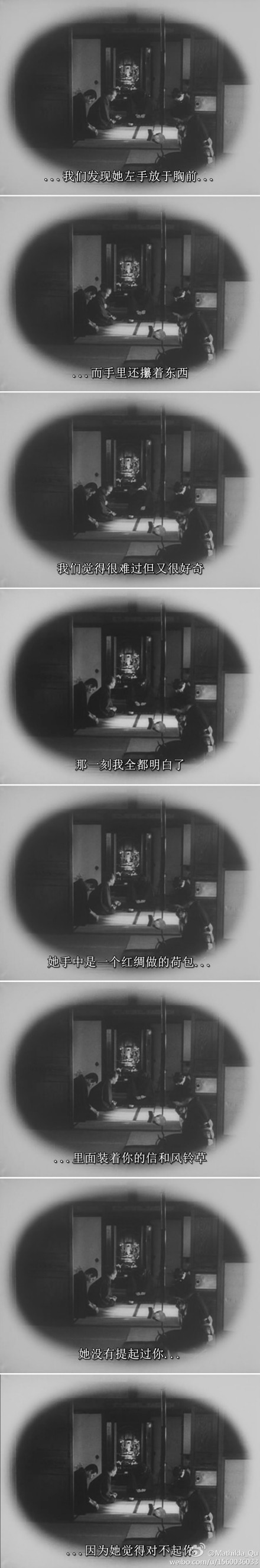 野菊之墓剧照的剧照